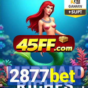 2877bet