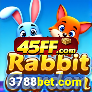 3788bet.com