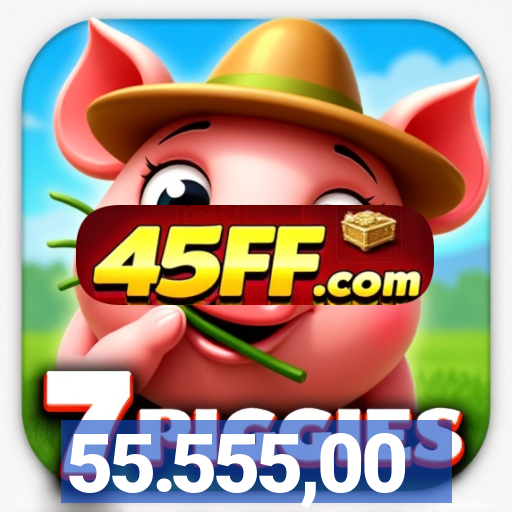 55.555,00
