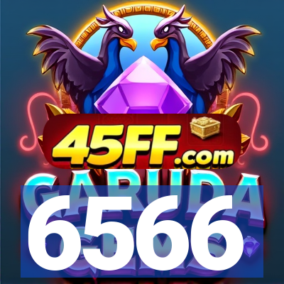 6566