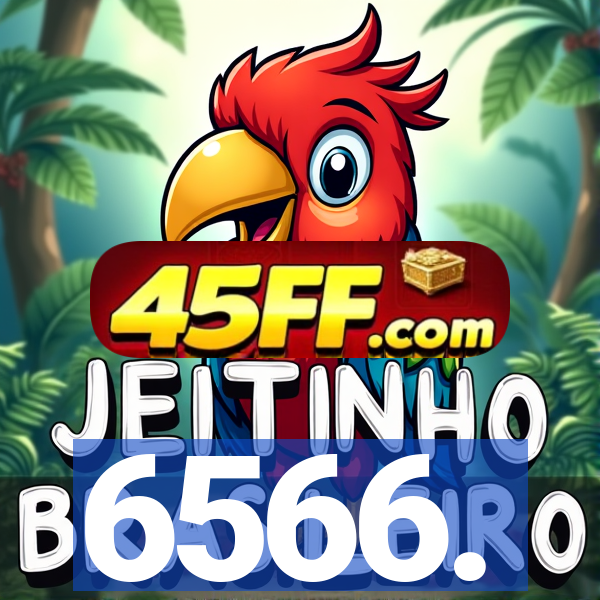 6566.