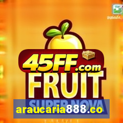 araucaria888.com