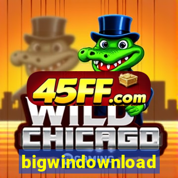 bigwindownload