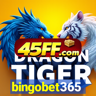 bingobet365