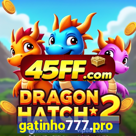 gatinho777.pro