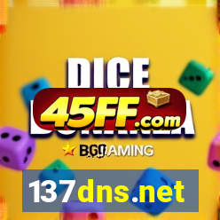 137dns.net
