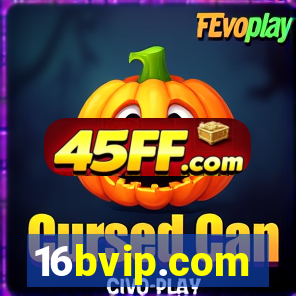 16bvip.com