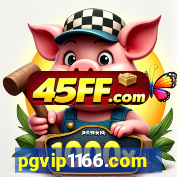 pgvip1166.com
